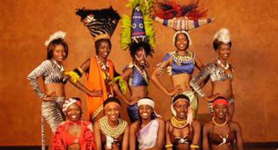 Nairobi: The Safari Cats Show Tickets & Buffet Dinner - What the Safari Cats evening really offers