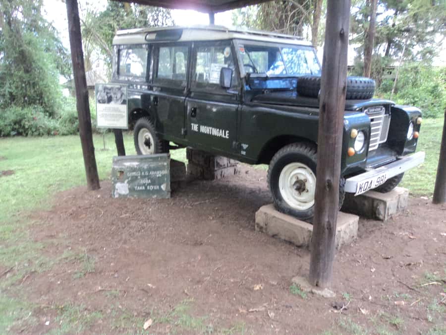 Nairobi to Lake Naivasha Day Tour with Crescent Island - Should you book the Lake Naivasha and Crescent Island tour?