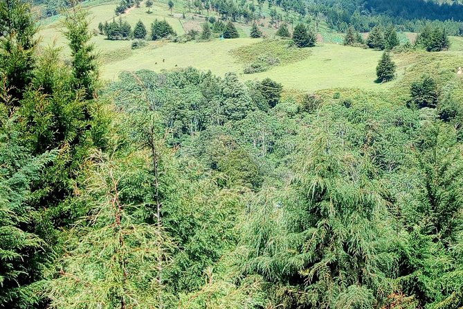 Nairobi Zip Lining Adventure Experience - Food, drinks, and photos need planning