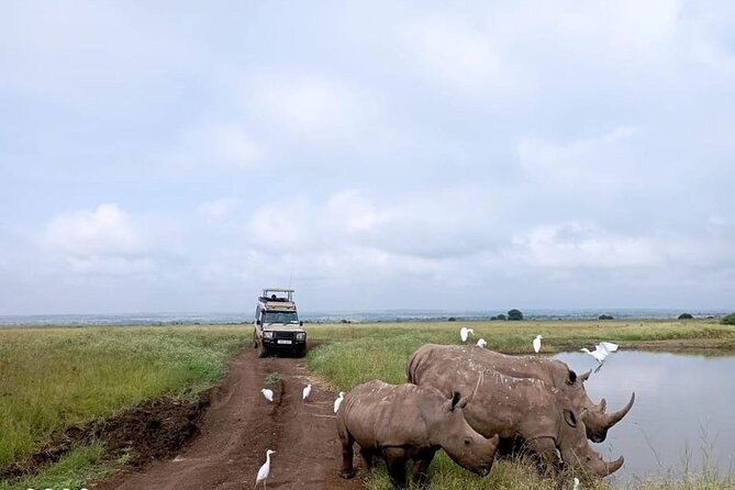 National Park Half-Day Group Tour in Nairobi with Pickup - Key points to know before booking