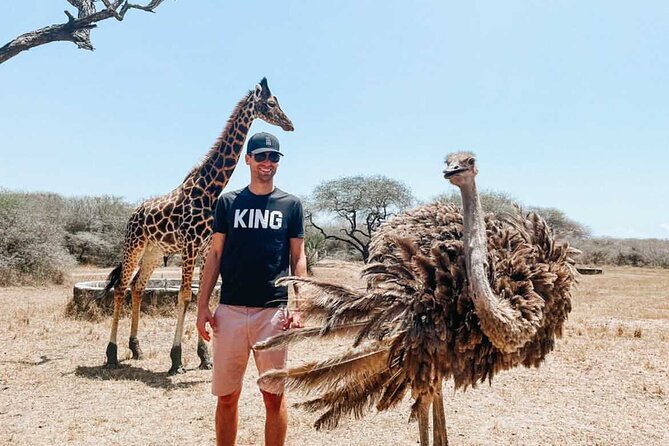 Nature Walk with Giraffes in Mombasa - Why this Mombasa walk feels different