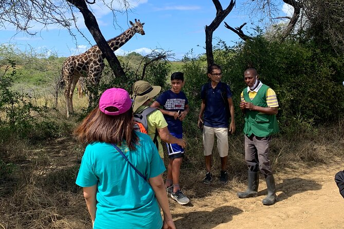 Nature Walk with Giraffes in Mombasa - Ostriches, antelopes, turtles, and other animals