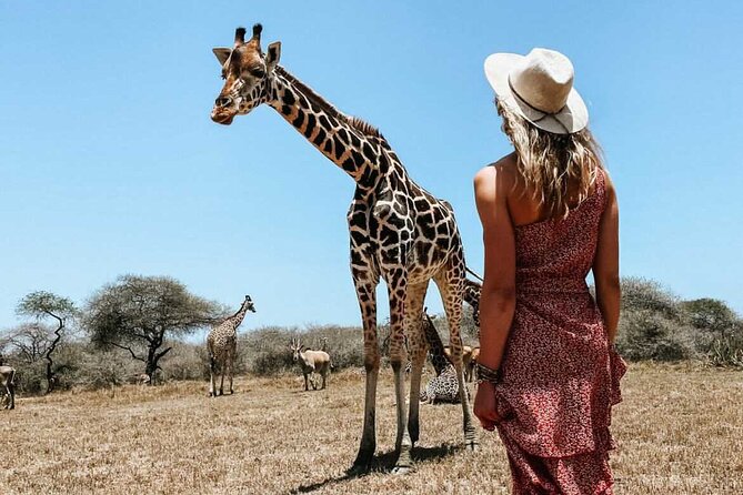 Nature Walk with Giraffes in Mombasa - What the $34 price gets you