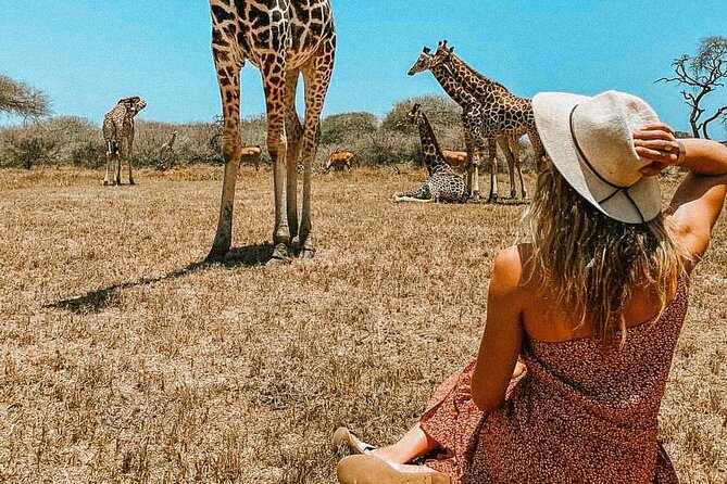 Nature Walk with Giraffes in Mombasa - The opening briefing and first steps
