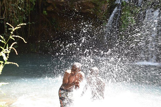 Ngare Ndare Day Trip - Why Ngare Ndare makes a strong day outside Nairobi