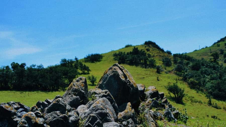 Ngong Hills: Private Hiking Tour - Key points to know before booking