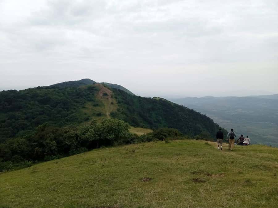 Ngong Hills: Private Hiking Tour - What the guide adds to the walk