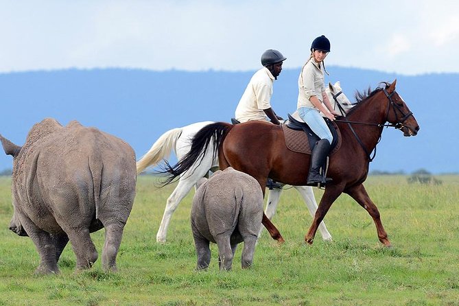 Ol Pejeta Conservancy Day Tour from Nairobi - Baraka the Blind Rhino and the Northern Whites