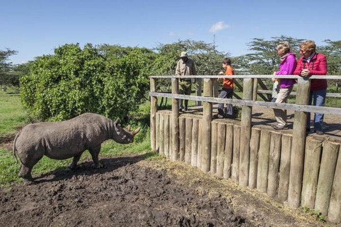 Ol Pejeta Conservancy Day Tour from Nairobi - What the $380 Price Really Covers