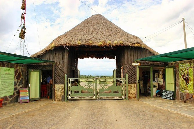 Ol Pejeta Conservancy Day Tour from Nairobi - Timing, Comfort, and Practical Details