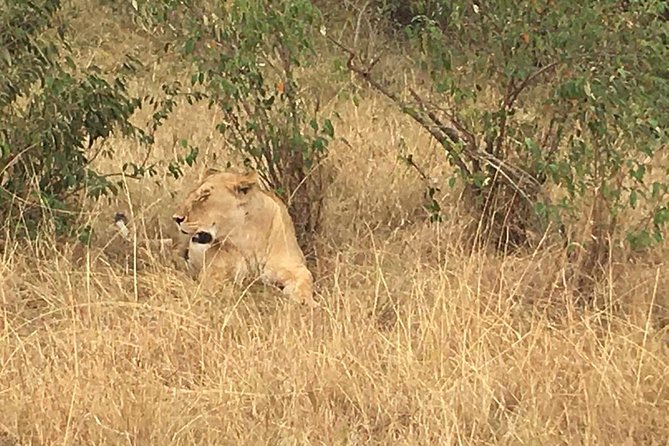 Olpejeta conservancy Day tour - Who should book this Ol Pejeta day trip