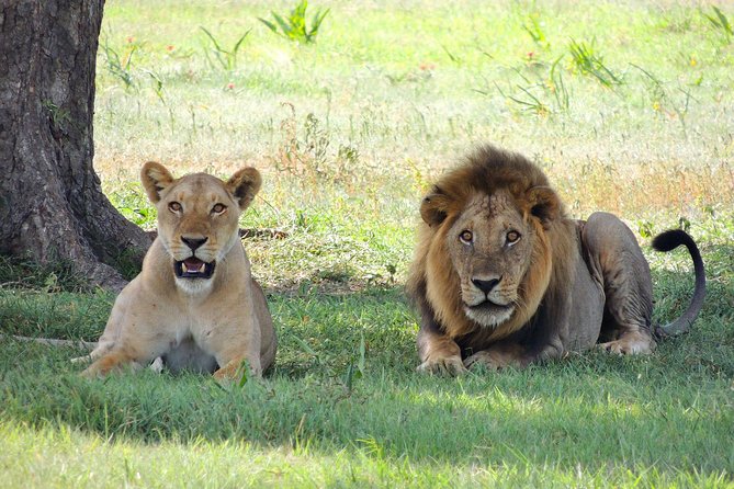 Olpejeta, Lake Naivasha, Masai Mara 5 Days Private Kenya Jeep tour - Day five: Returning to Nairobi through the Rift Valley