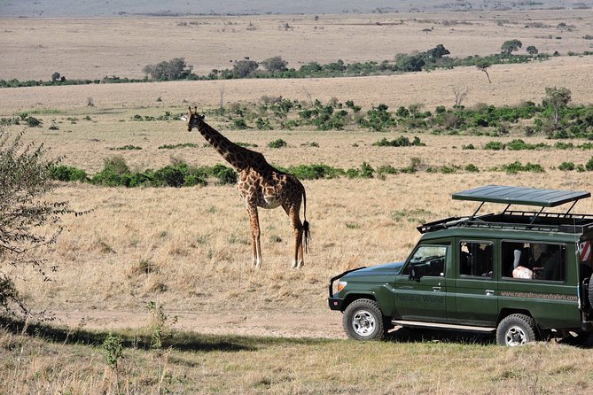 Olpejeta, Lake Naivasha, Masai Mara 5 Days Private Kenya Jeep tour - What the $2,880 price covers