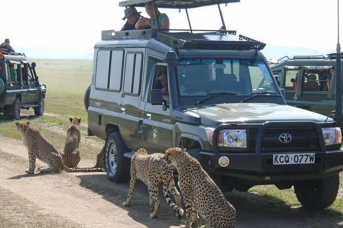 Olpejeta, Lake Naivasha, Masai Mara 5 Days Private Kenya Jeep tour - Day three: Crossing the Rift Valley to the Maasai Mara