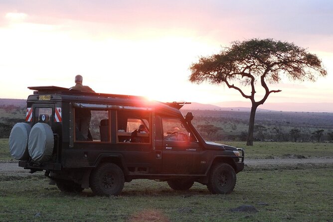 One Day Tour to Maasai Mara Game reserve from Nairobi - A picnic lunch under a tree