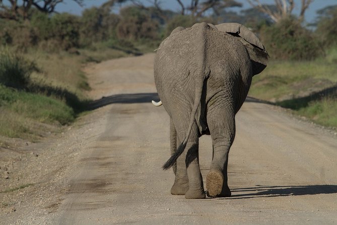 One Night (Mid-range) Amboseli National Park Safari - The early road from Nairobi to Emali