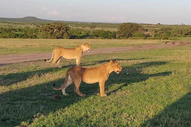 Overnight Amboseli National Park Safari from Nairobi - Who should book this two-day safari