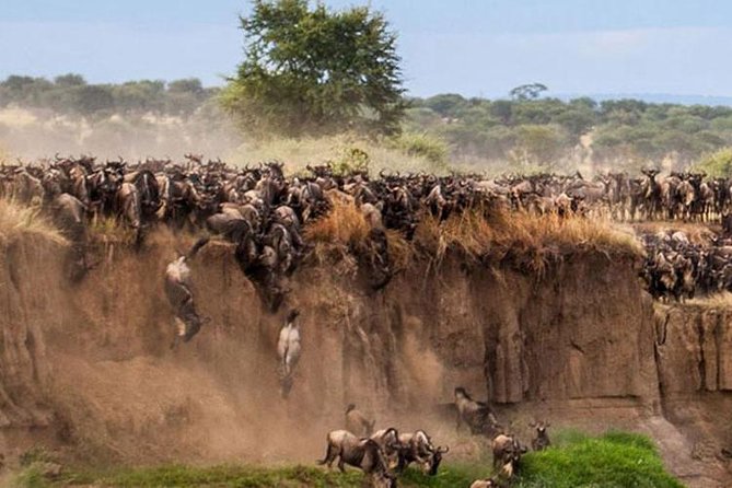 Overnight Maasai Mara Private Safari From Nairobi - What the $434 Maasai Mara trip really gives you