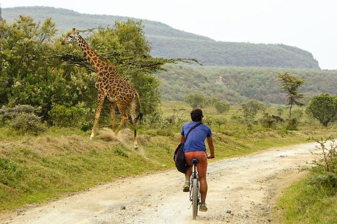 Overnight Mount Longonot and Hells Gate National Park From Nairobi - Climbing Mount Longonot to the crater