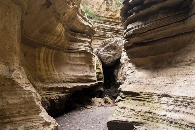 Overnight Mount Longonot and Hells Gate National Park From Nairobi - A boat ride among birds and hippos