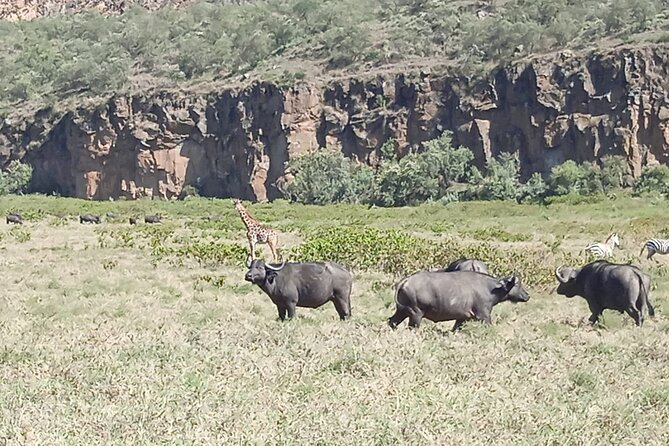 Overnight Mount Longonot and Hells Gate National Park From Nairobi - Cycling through Hell’s Gate on day two