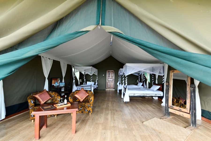 Overnight Private Safari To Masai Mara - Wildlife, birds, and the Big Five