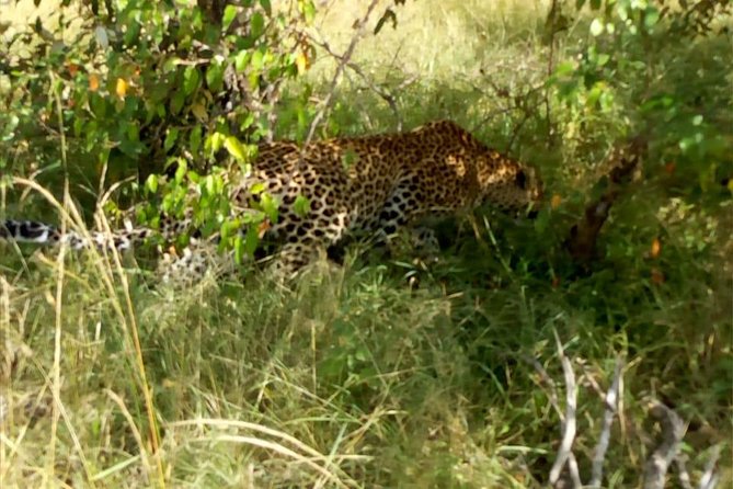 Overnight Safari To Maasai Mara - From Nairobi through the Great Rift Valley