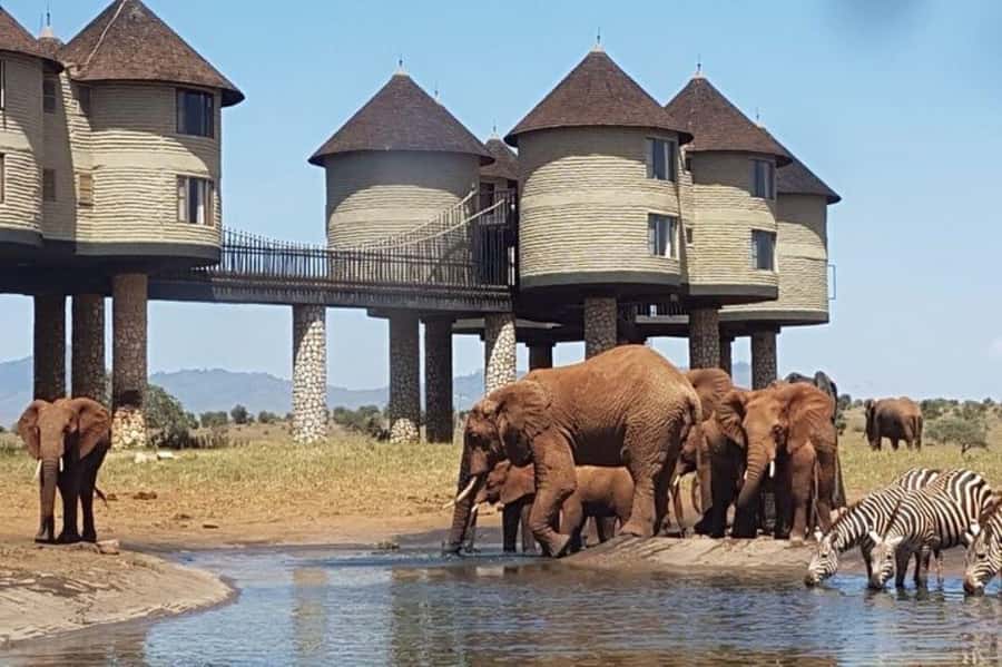 Overnight Safari to Saltlick through Tsavo East Park - Key points to know before you book