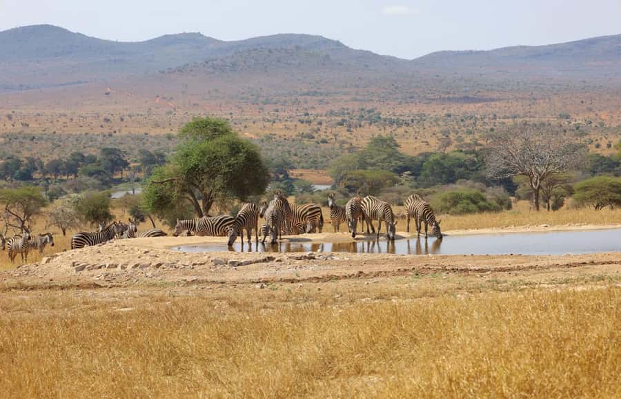 Overnight Safari to Saltlick through Tsavo East Park - Tsavo East and the search for red elephants
