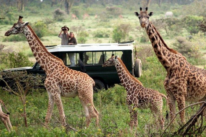 Overnight Safari to Tsavo East National Park from Mombasa/Diani - Why Tsavo East works well from the coast