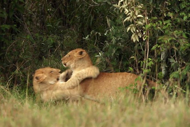 Overnight Safari to Tsavo East National Park from Mombasa/Diani - Who should book this Tsavo safari