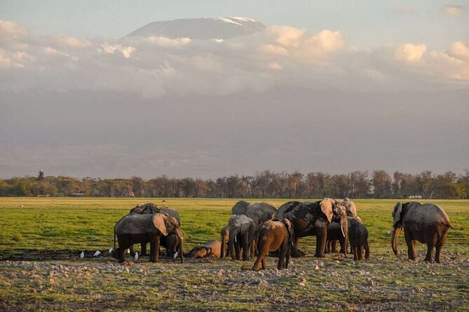 Overnight Tour in Amboseli National Park from Nairobi - The 7:30 am drive from Nairobi