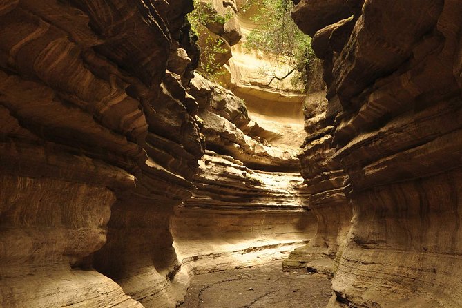 Overnight tour to mount Longonot and Hells Gate Naivasha - Lake Naivasha gives you a calmer afternoon