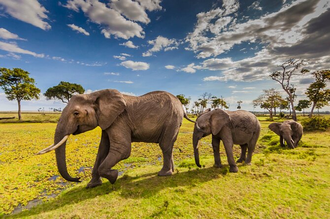 Private 3-Day Masai Mara Safari Adventure - Three days built around the Masai Mara