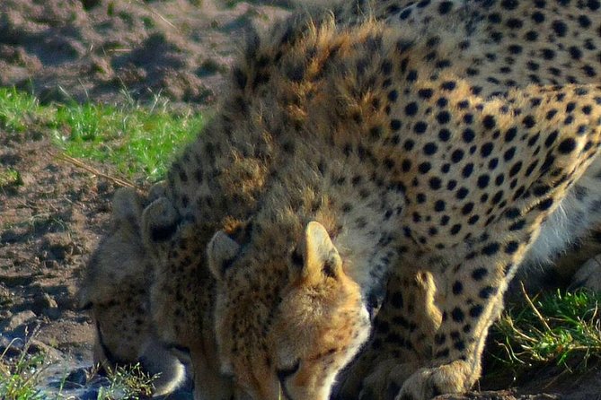 Private 3 Day Tsavo East Safari from Mombasa - Why this Tsavo East safari works well as a short escape