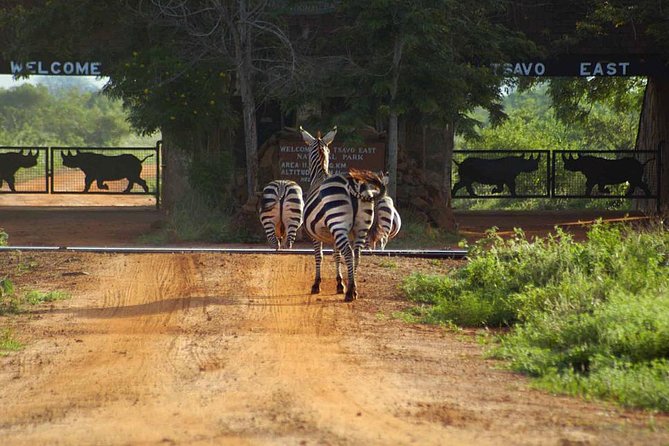 Private 3 Day Tsavo East Safari from Mombasa - Voi Wildlife Lodge gives the safari a comfortable base