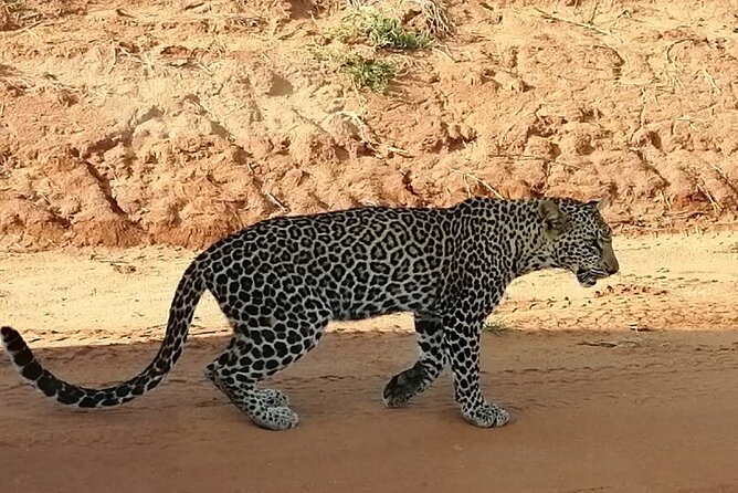 Private 3 Day Tsavo East Safari from Mombasa - Day two: choose long hours in the park or a gentler split schedule