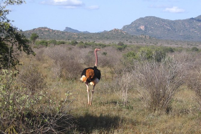 Private 3 Day Tsavo East Safari from Mombasa - What the $785.82 price includes