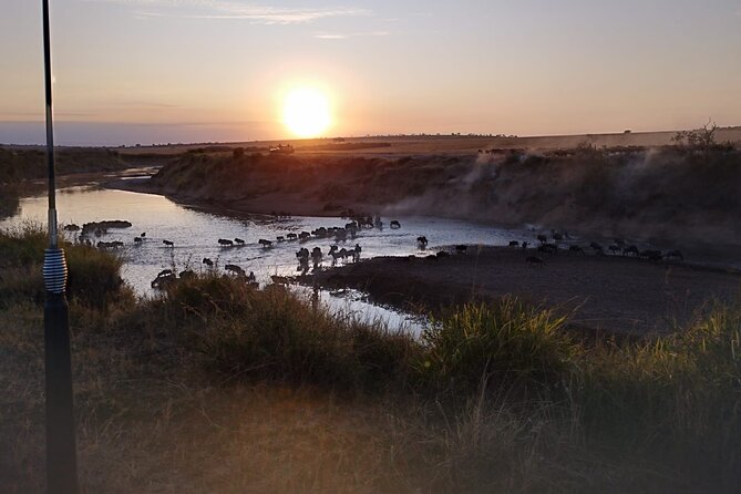 Private 5 Day Maasai Mara with Lake Nakuru and Lake Naivasha Tour - What $1,860 per person covers