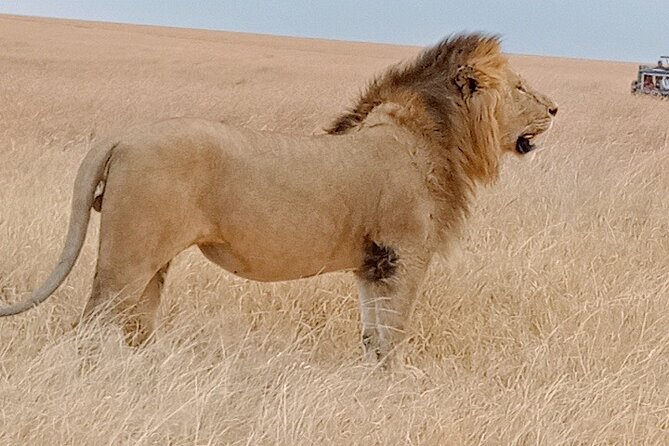 Private 6-Days Tour Exploring in Amboseli & Nakuru National Park - Why this route works in six days