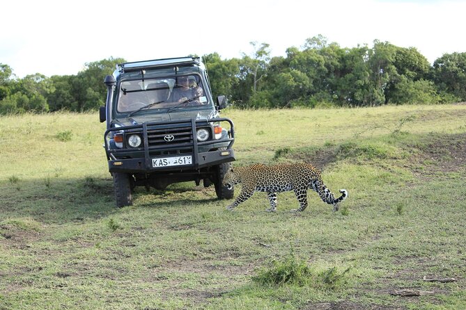 Private 7 Days Kenya Safari Amboseli, Naivasha, Nakuru, Mara - Day 7: Returning to Nairobi with lunch at Carnivore