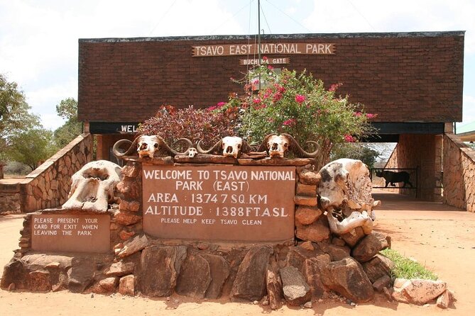 Private full day tour to Tsavo East National Park - The 5:00 am pickup from the coast