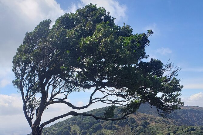 Private Half Day Hike to Ngong Hills from Nairobi - Why Ngong Hills makes a strong Nairobi day out