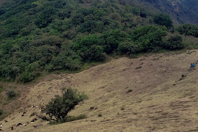 Private Half Day Hike to Ngong Hills from Nairobi - Views toward the Rift Valley and Nairobi