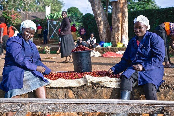 Private Half-Day Tour in Fairview Coffee Farm from Nairobi - The 8:30 Pickup and Ride Through Karura Forest