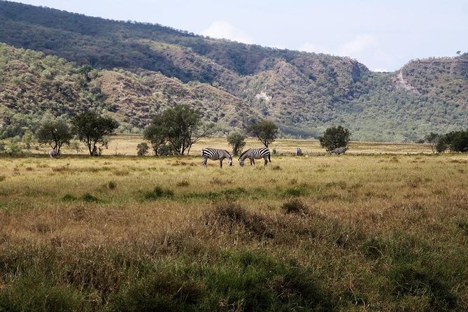 Private Hiking Day Trip to Mt. Longonot from Nairobi - The Great Rift Valley Viewpoint