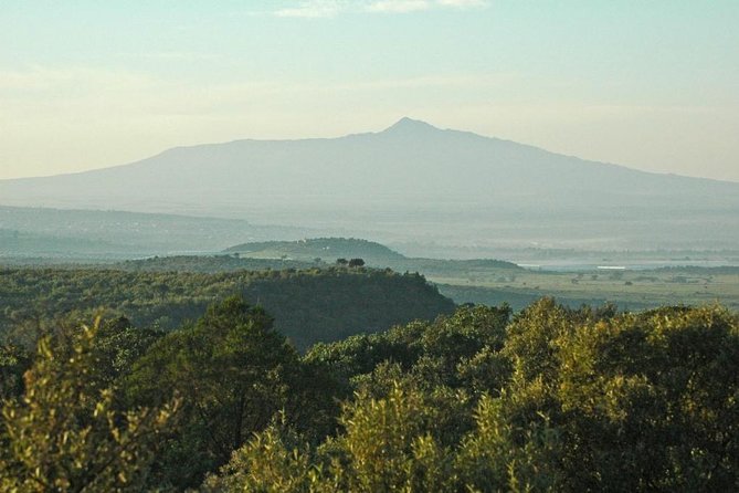 Private Hiking Day Trip to Mt. Longonot from Nairobi - The Optional Lake Naivasha Boat Cruise