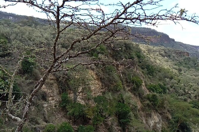 Private Hiking Day Trip to Mt. Longonot from Nairobi - What the $130 Price Really Covers
