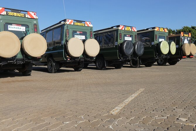 Private Mini Safari Tour in Nairobi - The airport layover question