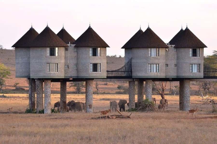 PRIVATE OVERNIGHT SALTLICK SAFARI FROM MOMBASA OR DIANI - Arriving at Salt Lick after lunch